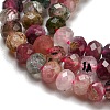 Natural Multicolor Tourmaline Beads Strands G-D0010-23D-3