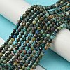 Natural Chrysocolla Beads Strands G-Z034-A03-02-2