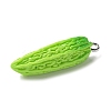 Resin Iron Pendants RESI-D280-10-2