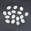 Shell Cabochons SSHEL-P015-59C-1