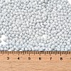 Opaque Colours Luster Glass Seed Beads X1-SEED-B001-01A-09-4
