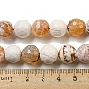 Faceted Natural Fire Crackle Agate Beads Strands G-F447-12mm-H04-5