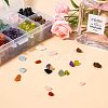 Natural Jade & Aquamarine &  Green Aventurine & White Shell & Red Jasper & Rose Quartz & Tiger Eye & Amethyst & Agate & Obsidian Chips Beads G-PH0033-03-5