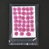 Pressed Dried Flowers DIY-K032-58G-2