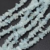 Chips Natural Aquamarine Beads Strands G-N0164-24-1