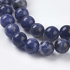 Natural Sodalite Beads Strands G-E110-6mm-3-3