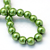 Baking Paint Pearlized Glass Pearl Round Bead Strands X-HY-Q003-6mm-13-4