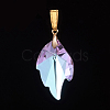K9 Glass Rhinestone Pendants PALLOY-JF00446-04-3