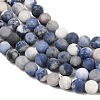 Natural Sodalite Beads Strands G-D691-8mm-6