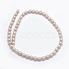 Natural Cultured Freshwater Pearl Beads Strands PEAR-K003-23A-01-2
