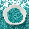 Baking Paint Glass Seed Beads X-SEED-S042-05B-57-2