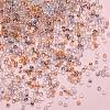 5 strands 5 Colors Electroplate Glass Beads Strands EGLA-SZ0001-16-5