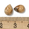 Natural Picture Jasper Cabochons G-Q173-02B-13-3