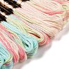 10 Skeins 6-Ply Polyester Embroidery Floss OCOR-K006-A74-2