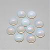 Opalite Cabochons G-R416-8mm-49-1