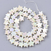 Freshwater Shell Beads Strands X-SHEL-N026-08A-2