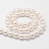 Shell Pearl Bead Strands BSHE-L026-03-6mm-3