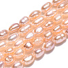Natural Cultured Freshwater Pearl Beads Strands PEAR-N012-03M-4