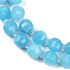 Natural Amazonite Beads Strands G-G182-B10-05-4