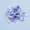 Plastic Candy Sequins/Paillette Chip DIY-I019-02K-2