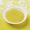 MIYUKI Round Rocailles Beads SEED-G007-RR0252-2