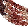 Gradient Color Natural Andesine Feldspar Beads Strands GG-CBA0C95-C01-03-2