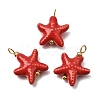 Handmade Porcelain Pendants PR-CBA0027-09G-03-1