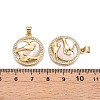 Brass Micro Pave Clear Cubic Zirconia Pendants KK-N254-186G-3