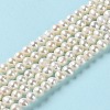 Natural Cultured Freshwater Pearl Beads Strands PEAR-E018-56-2