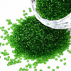 15/0 Transparent Czech Glass Seed Beads SEED-N004-004-09-1