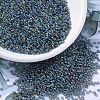 MIYUKI Round Rocailles Beads SEED-X0054-RR0249-1