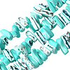 1 Strand Dyed Natural Trochus Shell Beads Strands SSHEL-PA0001-01D-1