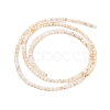 Natural Freshwater Shell Beads Strands SHEL-T011-02-4mm-2