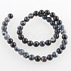 Natural Black Agate Round Bead Strands G-E233-04-2