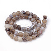 Natural Weathered Agate Beads Strands G-S259-05G-10mm-2