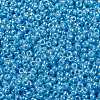 MIYUKI Round Rocailles Beads X-SEED-G009-RR0433-3
