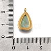 Natural Black Lip Shell Pendants STAS-F318-15G-3