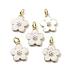 Brass Enamel Charms KK-Z114-23G-02-1