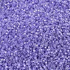 MIYUKI Delica Beads SEED-X0054-DB0249-3
