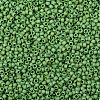 TOHO Round Seed Beads X-SEED-TR08-0407F-2