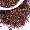 MIYUKI Delica Beads X-SEED-J020-DB1842-1
