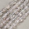 Natural Biotite Beads Strands GG-CBAC61B-B02-02-B-2