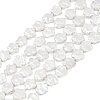 Electroplate Shell Pearl Beads Strands BSHE-Z009-07-01-2