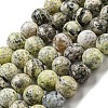 Faceted Natural Fire Crackle Agate Beads Strands G-F447-12mm-J01-2