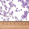 8/0 Transparent Glass Seed Beads SEED-F003-03B-09-4