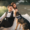 Black Polyester Bowknot Velvet Ring Pillows with Nylon Strong Dog Leash for Pet HJEW-DR00255-5
