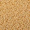 TOHO Round Seed Beads SEED-XTR08-0923-2