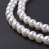 Shell Pearl Bead Strands BSHE-P023-3mm-3