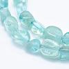 Natural Apatite Beads Strands G-K203-50B-3