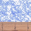 MIYUKI Delica Beads SEED-J020-DB1110-4